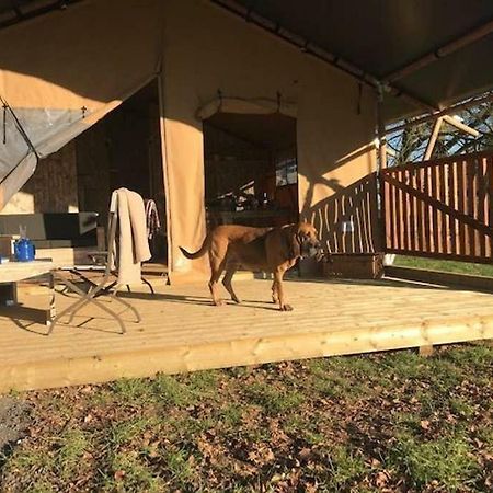 Lapwing Safari Tent كيلتنهام المظهر الخارجي الصورة