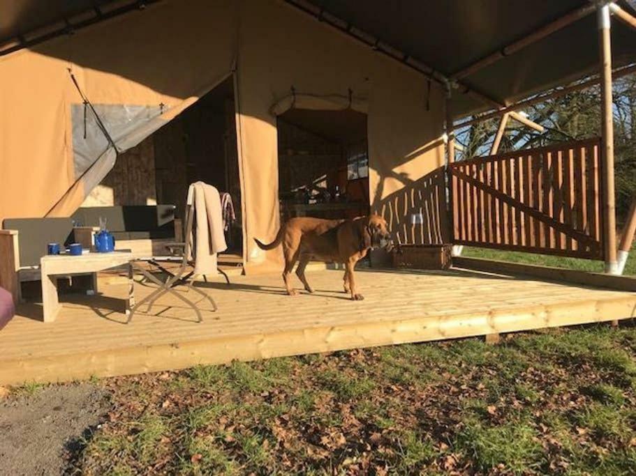 Lapwing Safari Tent كيلتنهام المظهر الخارجي الصورة